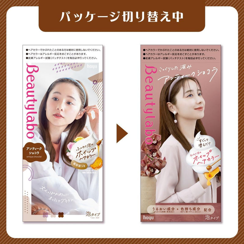 HOYU Beautylabo Whip Hair Color (Antique Chocolate) 美源 Beautylabo 摇摇慕斯染发剂 (古典巧克力色) 120ml