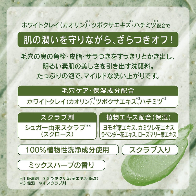 BCL TSURURI Facial Cleansing Herbal Paste 日本BCL TSURURI 毛孔清洁去黑头草本白泥洗面膏 120g