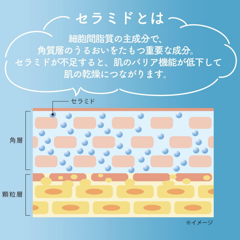 Kose Softymo Ceramide Face Washing Foam 高丝 神经醯胺保湿泡沫洗面乳