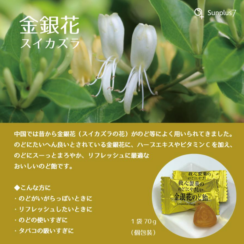 KYUSHIN Pharmaceutical Kinginka Flower Throat Drops 救心制药 金银花润喉糖 70g