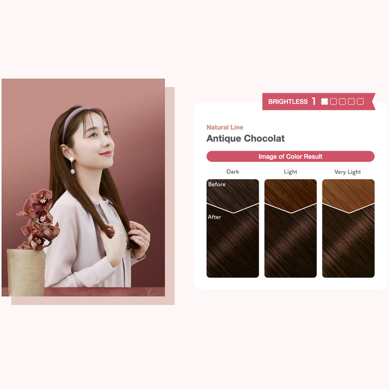 HOYU Beautylabo Whip Hair Color (Antique Chocolate) 美源 Beautylabo 摇摇慕斯染发剂 (古典巧克力色) 120ml