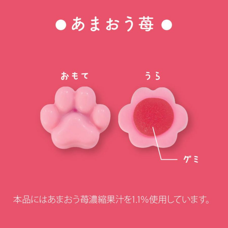 [Pre-Order] MATSUKAZEYA X Mofusand Gummy Chocolate Assortment Can 12pcs/box [预售] 日本松風屋 X 鲨鱼猫软糖巧克力什锦罐 12枚/盒