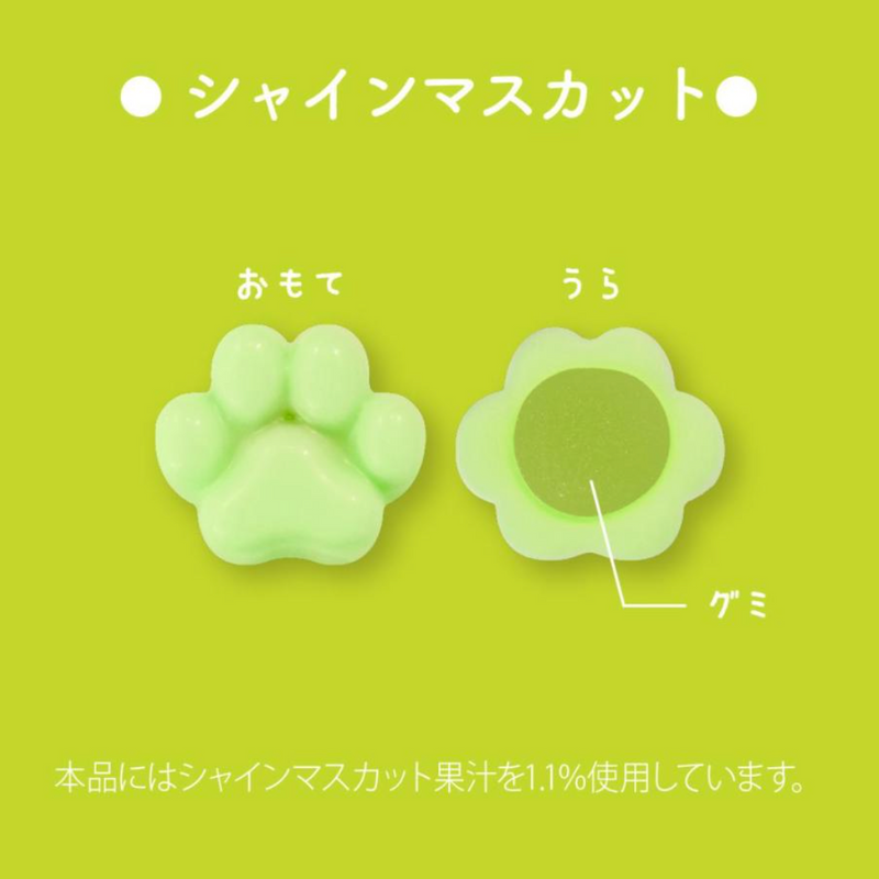 [Pre-Order] MATSUKAZEYA X Mofusand Gummy Chocolate Assortment Can 12pcs/box [预售] 日本松風屋 X 鲨鱼猫软糖巧克力什锦罐 12枚/盒