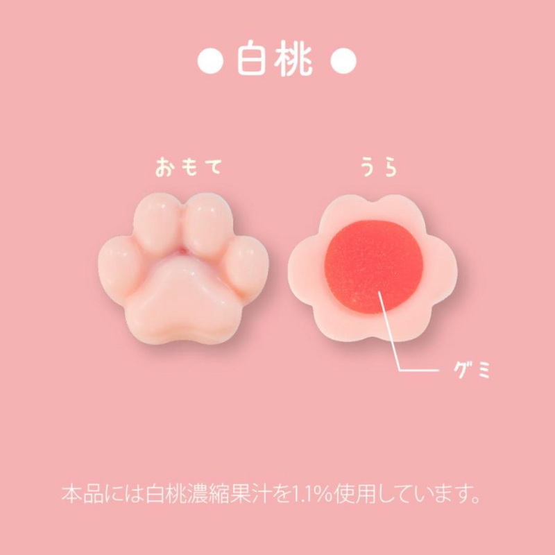 [Pre-Order] MATSUKAZEYA X Mofusand Gummy Chocolate Assortment Can 12pcs/box [预售] 日本松風屋 X 鲨鱼猫软糖巧克力什锦罐 12枚/盒