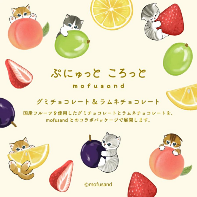 [Pre-Order] MATSUKAZEYA X Mofusand Gummy Chocolate Assortment Can 12pcs/box [预售] 日本松風屋 X 鲨鱼猫软糖巧克力什锦罐 12枚/盒